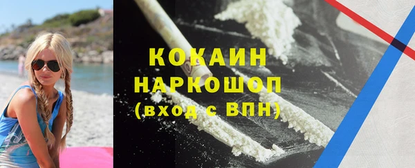 дмт Ельня
