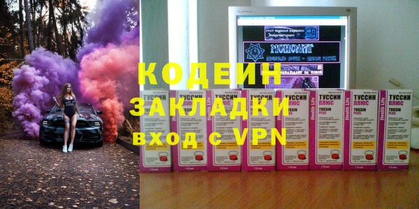 дмт Ельня
