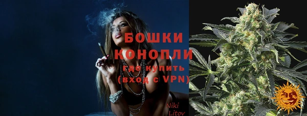 дмт Ельня