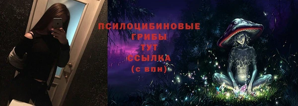 синтетический гашиш Елизово
