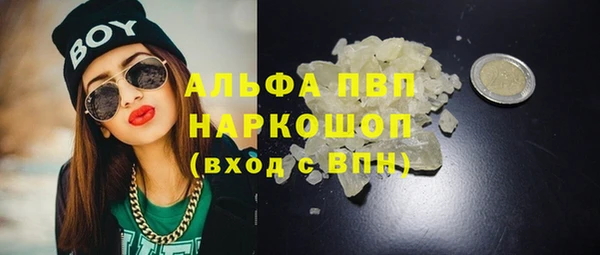 дмт Ельня