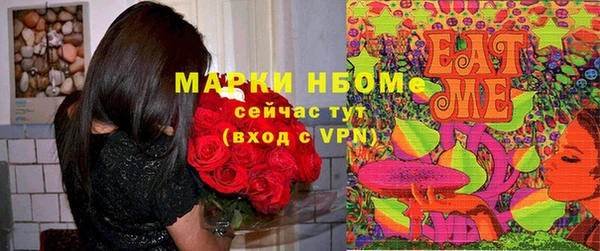 дмт Ельня