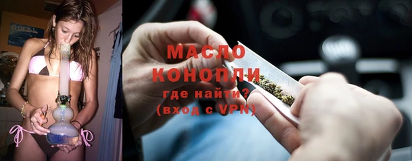 дмт Ельня