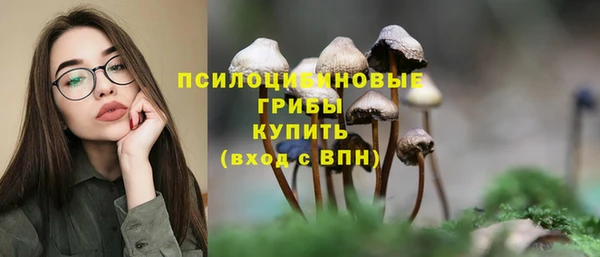спайс Елабуга