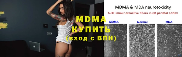 дмт Ельня