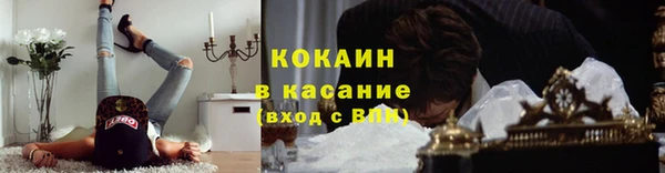 дмт Ельня
