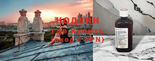 дмт Ельня