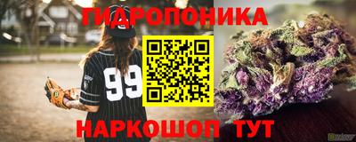 спиды Малгобек