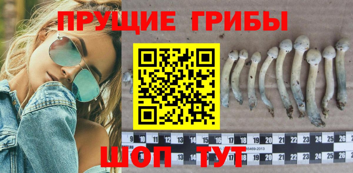 Галлюциногенные грибы GOLDEN TEACHER Похвистнево